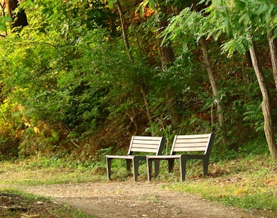 Deux bancs aux abords d'un chemin dans un parc verdoyant.