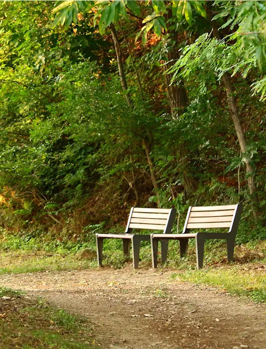 Deux bancs aux abords d'un chemin dans un parc verdoyant.